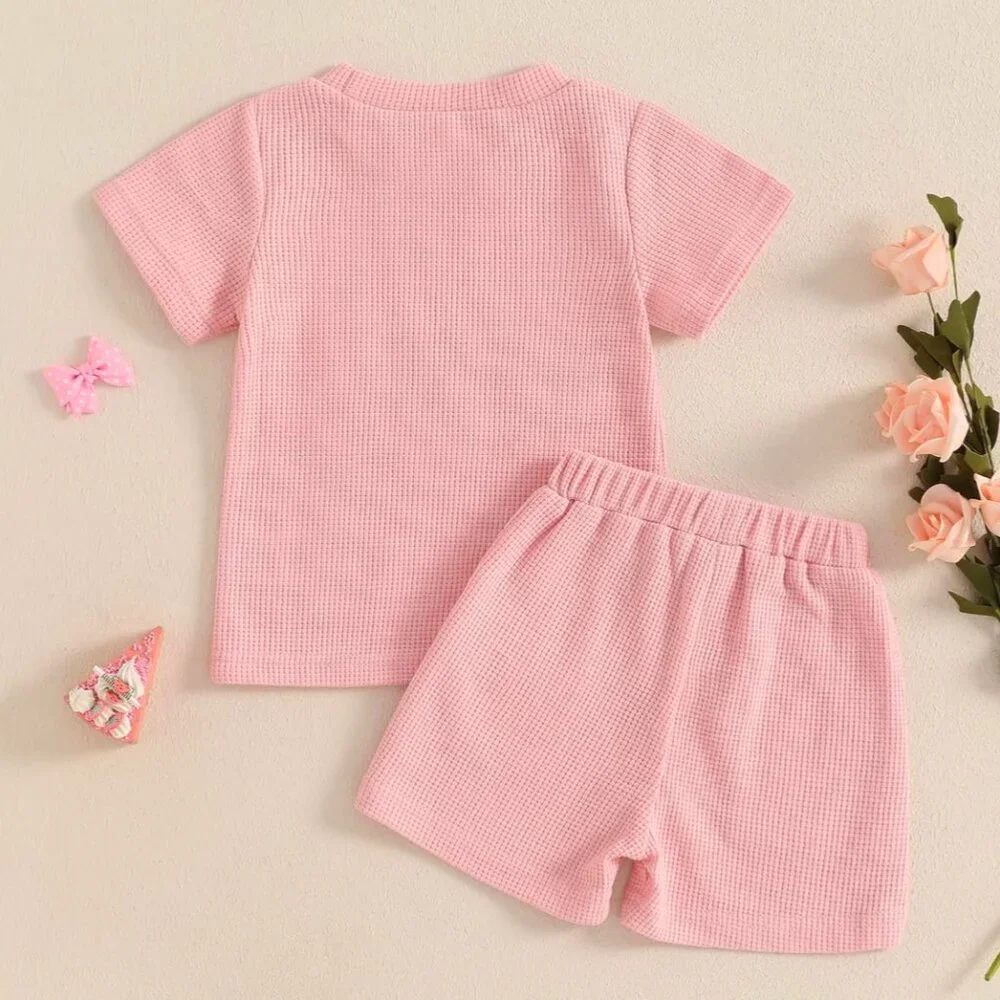 Pink Girl First Birthday Bluey Outfit Shirt Shorts Bluey Top Bingo Clothes_6